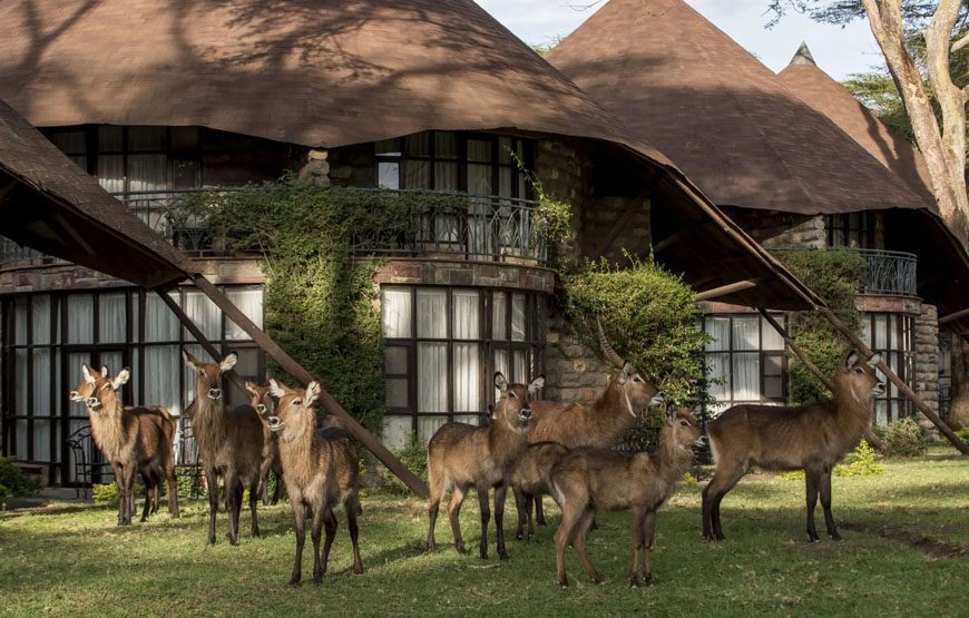 Lake Naivasha Sopa Resort