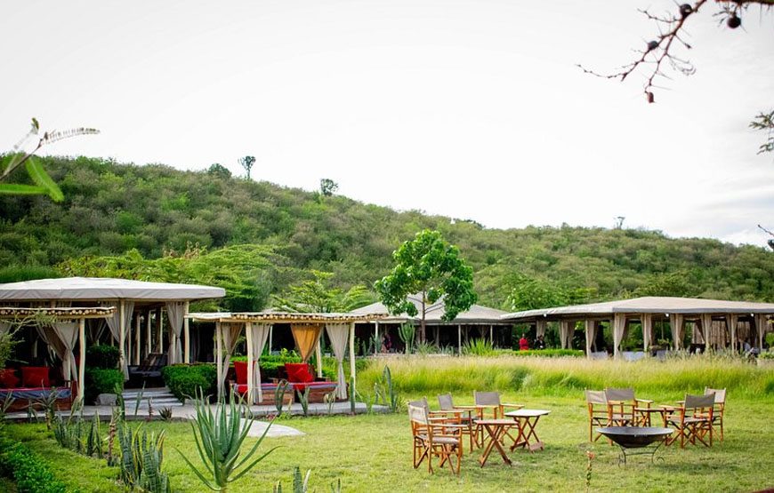 Zebra Plains Mara Camp